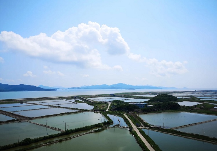 1679721153800790.jpg 池塘養(yǎng)殖.jpg